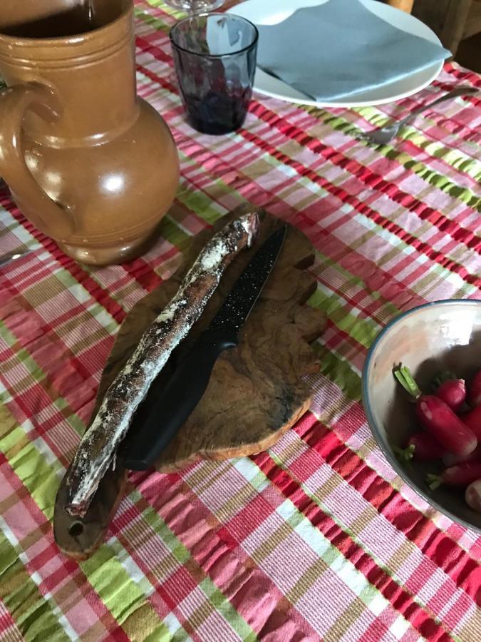 Le Paradis Bed & Breakfast Zicavo Dış mekan fotoğraf