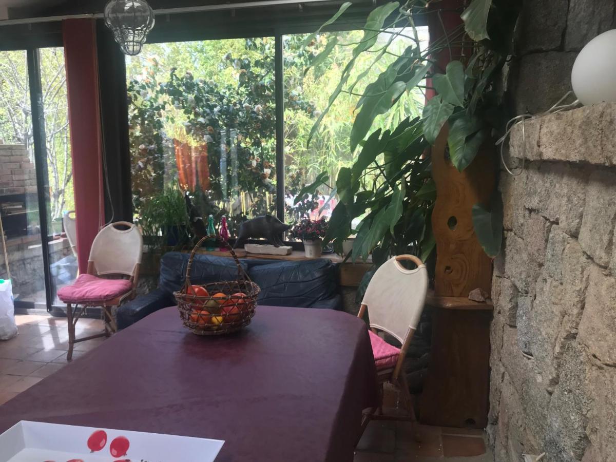 Le Paradis Bed & Breakfast Zicavo Dış mekan fotoğraf