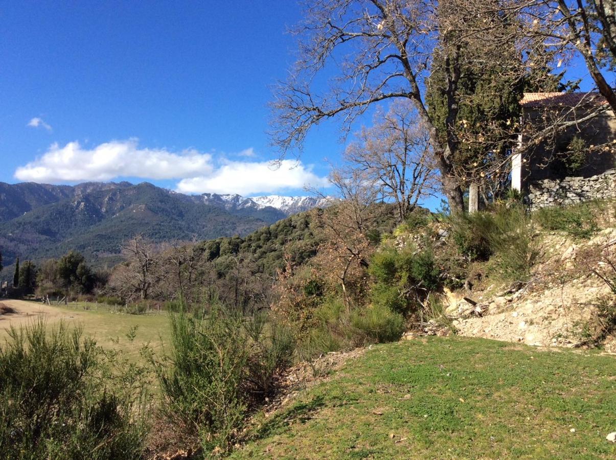 Le Paradis Bed & Breakfast Zicavo Dış mekan fotoğraf