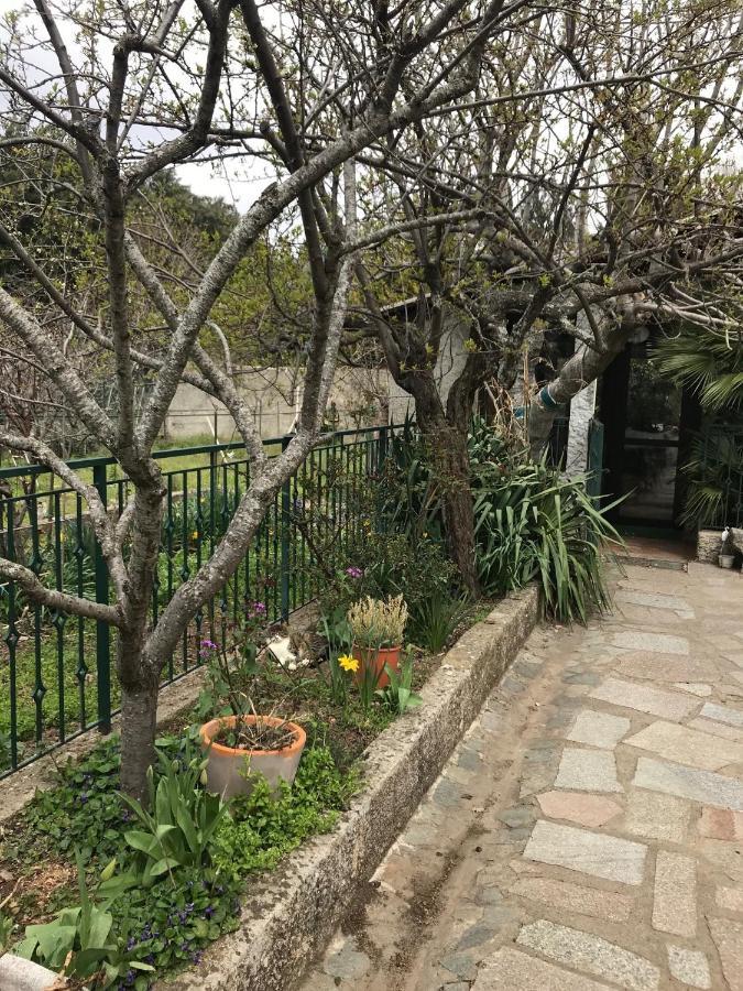 Le Paradis Bed & Breakfast Zicavo Dış mekan fotoğraf