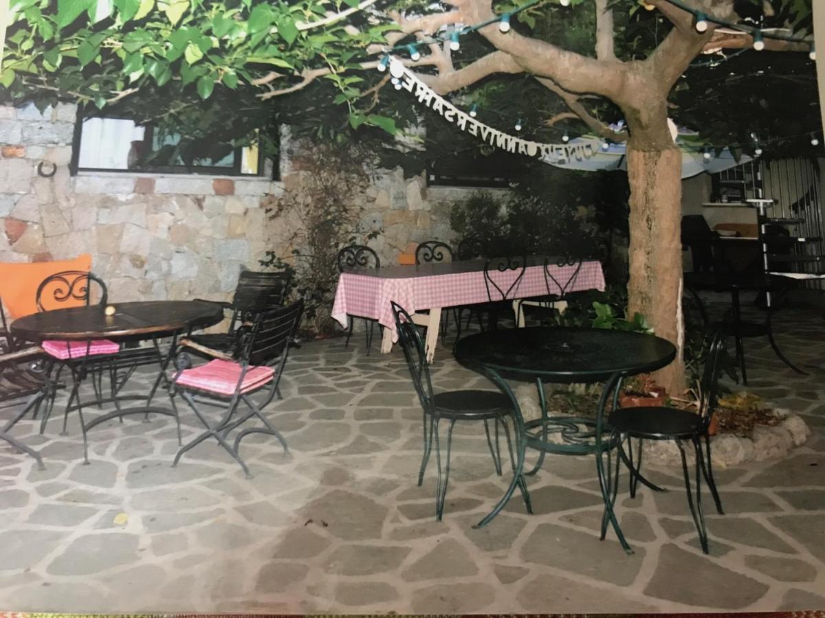 Le Paradis Bed & Breakfast Zicavo Dış mekan fotoğraf