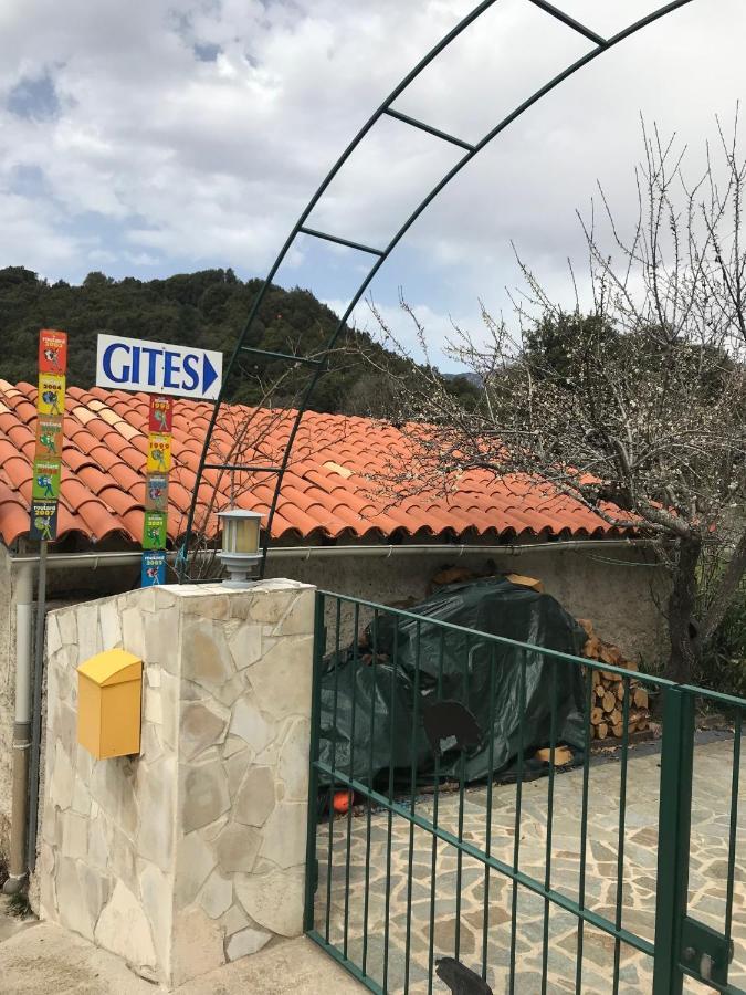Le Paradis Bed & Breakfast Zicavo Dış mekan fotoğraf