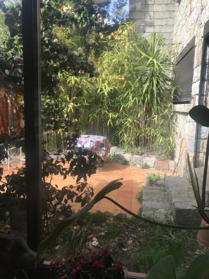 Le Paradis Bed & Breakfast Zicavo Dış mekan fotoğraf